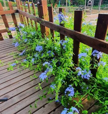 Agricamping Stone Vesuvio Ercolano